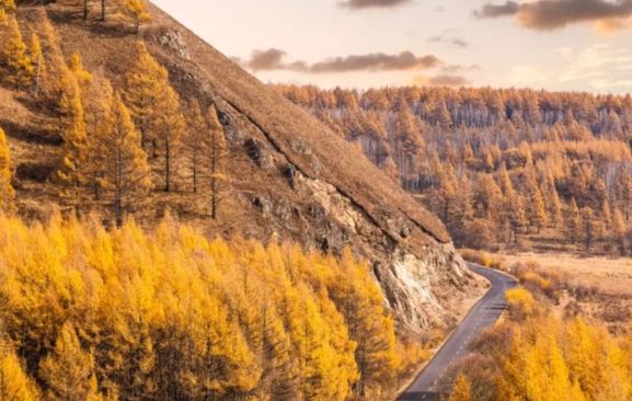 呼伦贝尔【秋季】旅游攻略